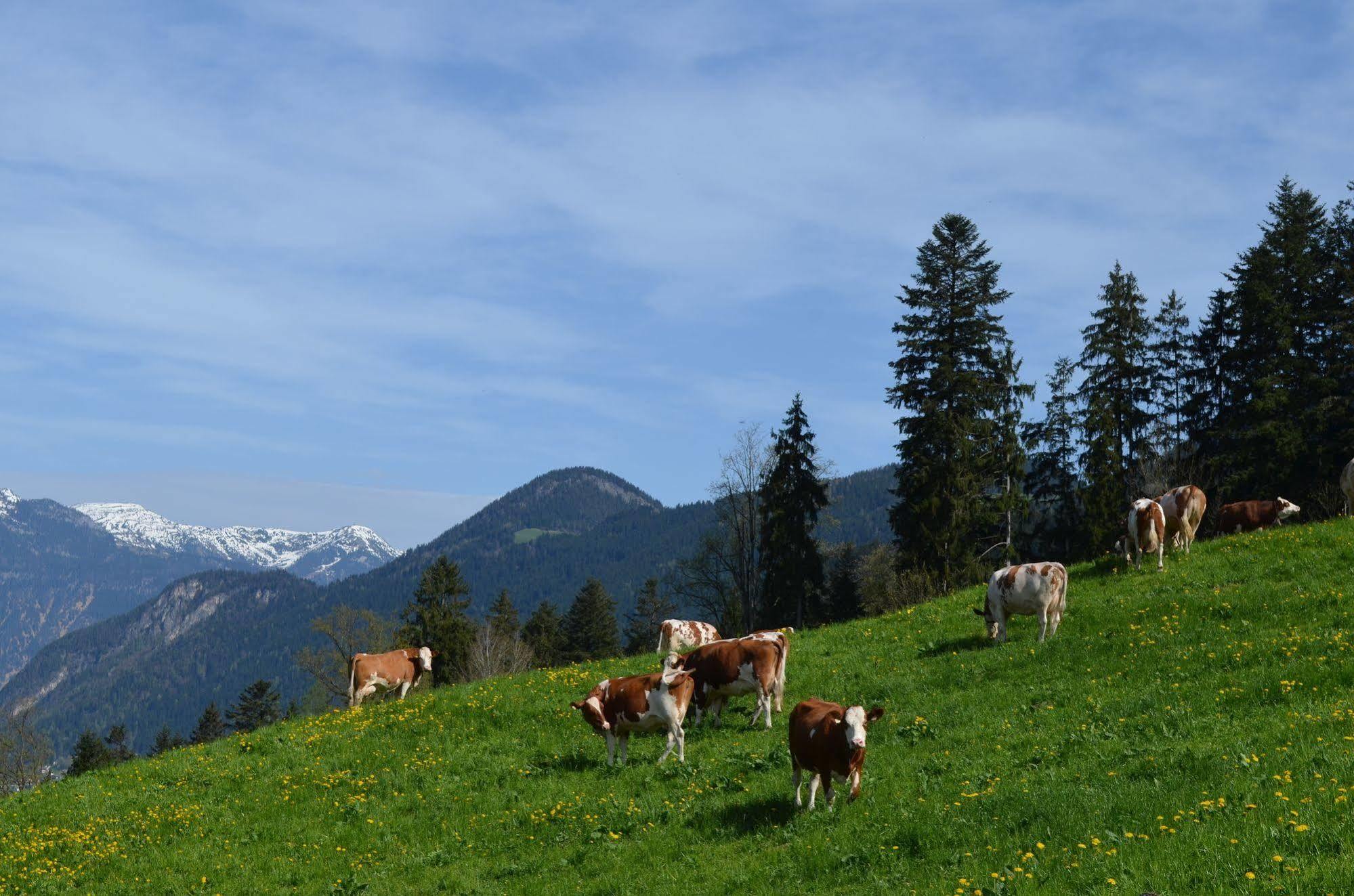 Ferienwohnung Eberharter Hart im Zillertal Exterior foto